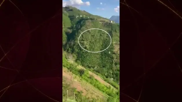 Giresun'da uçurumdan yuvarlanan araç paniğe neden oldu