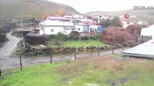 Güpegündüz dehşete düşüren görüntü: Bozayı köyün içine kadar indi
