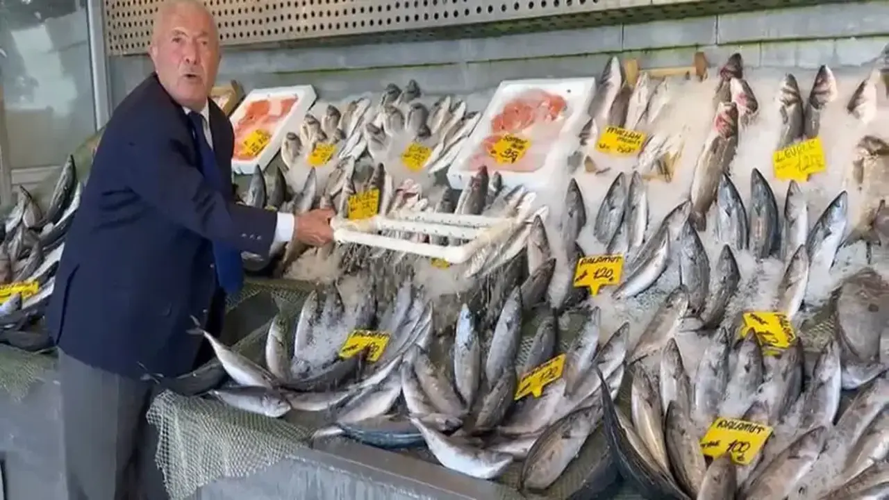 Hamsi ve palamut tezgahları doldurdu! 3 yıldır fiyatları değişmiyor