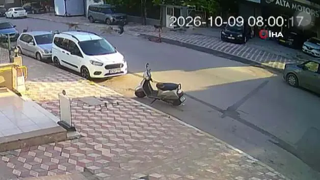 Hatay'da okul yolunda dehşet: 15 yaşındaki öğrenciye köpekler saldırdı