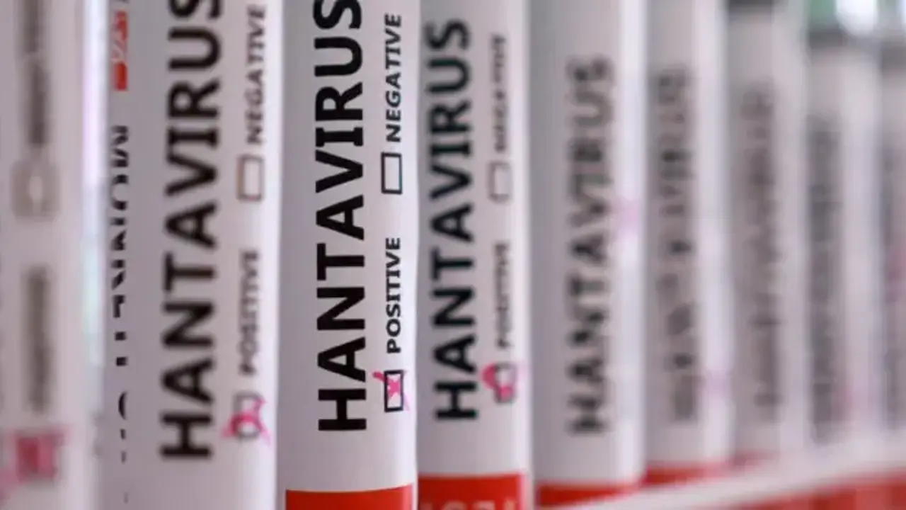 Herkesin aklında tek soru! Hantavirüs insandan insana bulaşır mı?