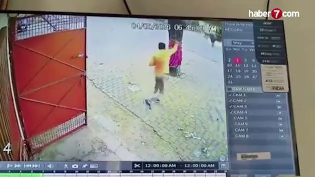 Hindistan'da ineğe saldıran adam boynuz darbesiyle yere serildi