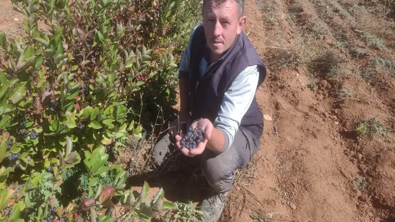 İlaç niyetine tüketiliyor! Şifa deposu diye satıyorlar! 1 kilodan 8 litre meyve suyu
