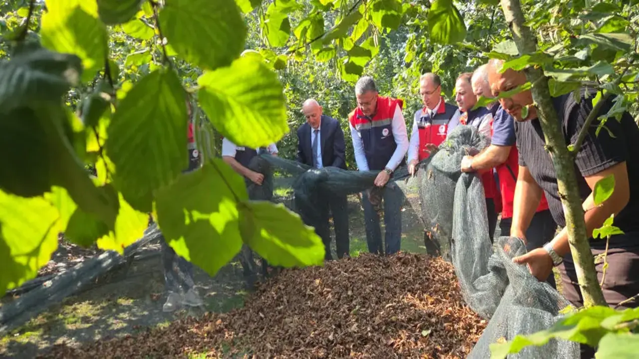 İşçilik maliyetini yüzde 70 düşüren yöntem! 60 işçi yerine 15 kişiyle hasat başladı