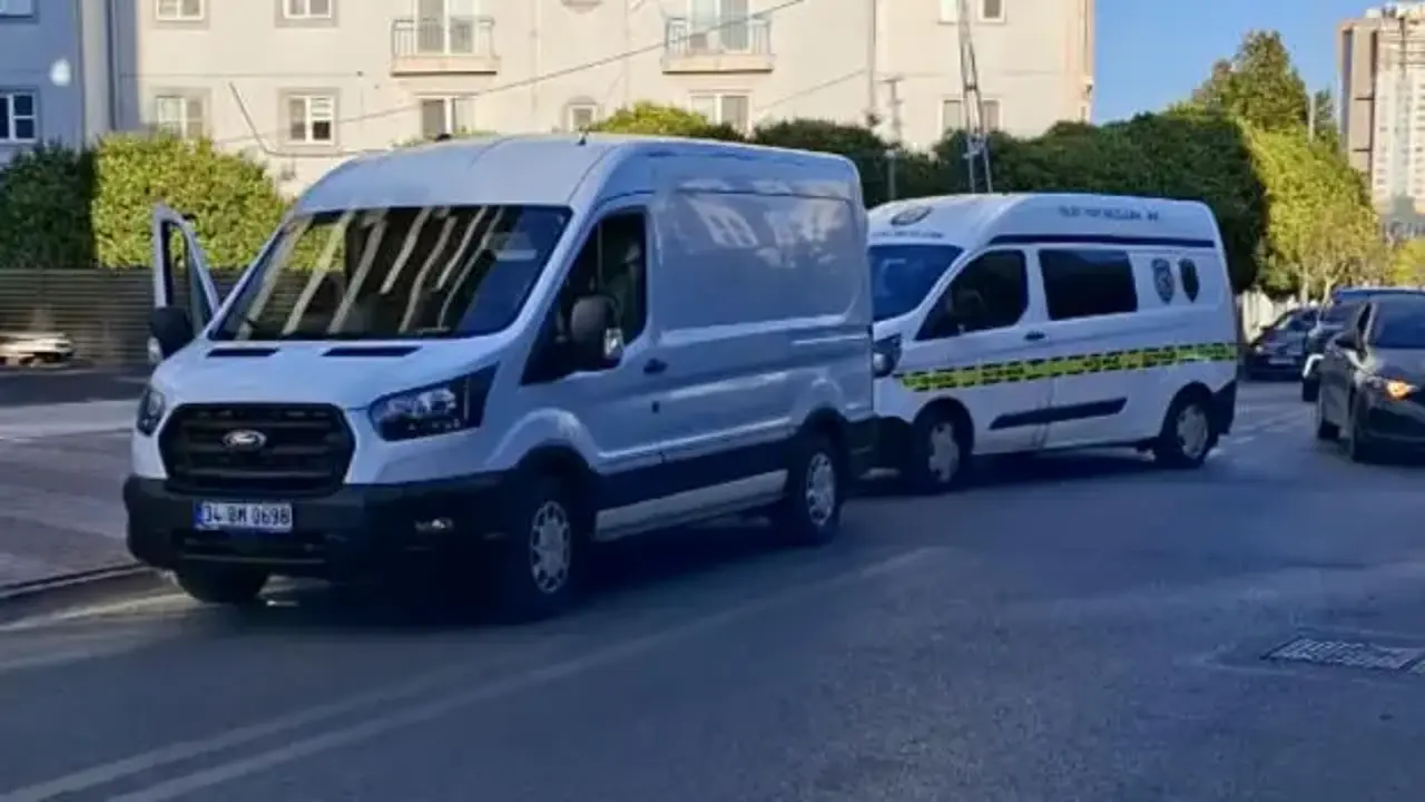 İstanbul'da ağaçlık alanda el bombası bulundu!