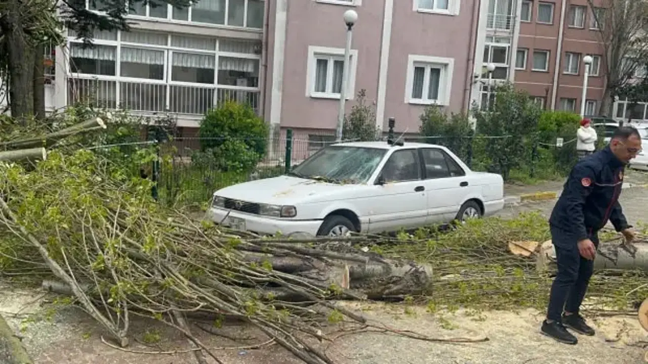 İstanbul'da fırtına alarmı! Otomobilin üstüne ağaç devrildi