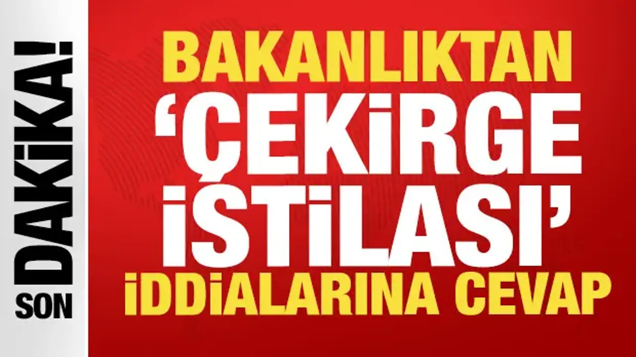 İstanbul'daki çekirgeler istilacı değil yerli çıktı: Biyolojik dengeye katkı sağlıyorlar