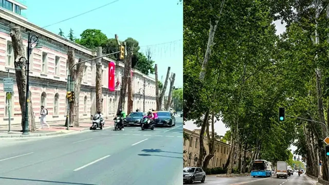 İstanbul'un simgesinde göz göre göre gelen felaket! İBB'nin hatası asırlık mirası çürüttü!