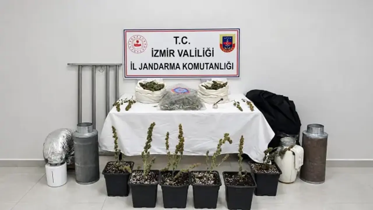İzmir'de 5 kilo skunk ele geçirildi