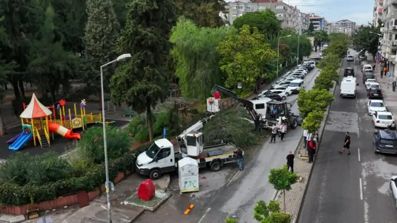 İzmir'de korkutan anlar: 4 otomobilin üzerine ağaç düştü!