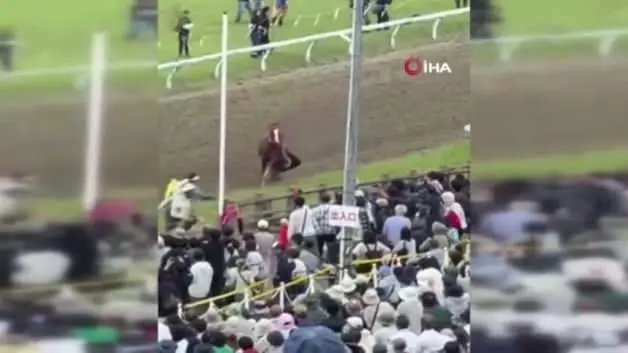 Japonya’daki festivalde at faciası: Kalabalığın arasına daldı, 6 kişi yaralandı