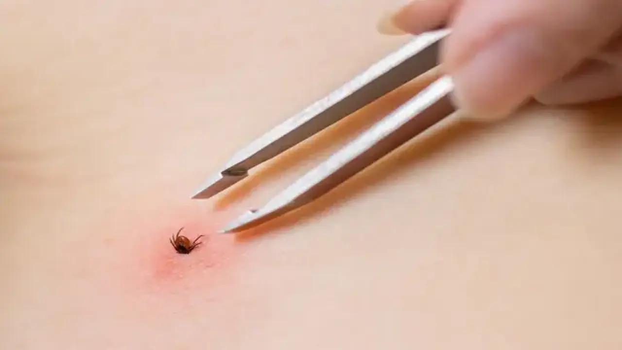 Kabus devam ediyor! 10 kişi hayatını kaybetti: Uzmanlardan uyarı!
