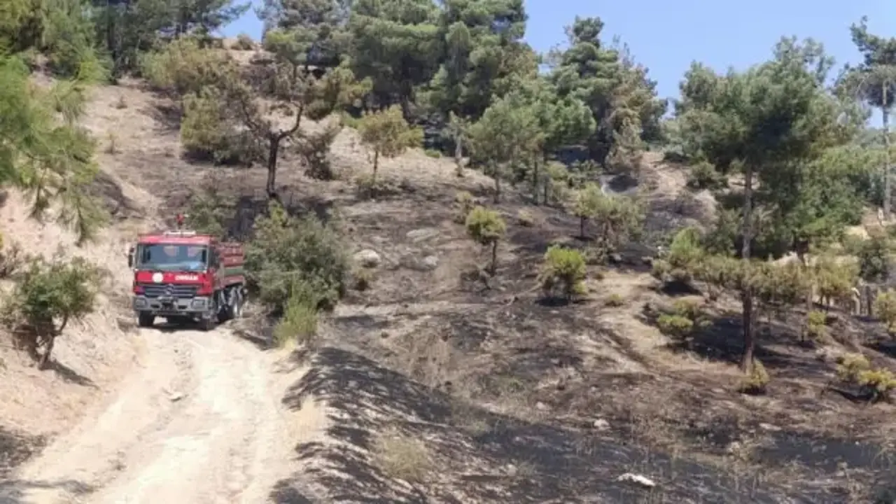 Kahramanmaraş’ta orman yangını kontrol altına alındı