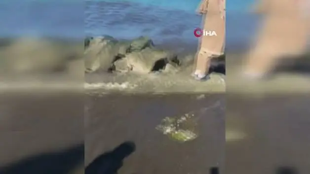 Kanalizasyon suyu sahilde vatandaşların üzerine aktı