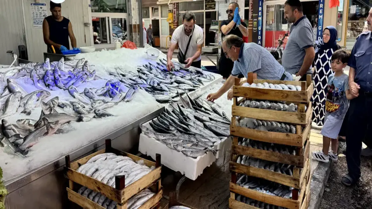Karadeniz'de palamut bolluğu: Fiyatların daha da düşmesi bekleniyor