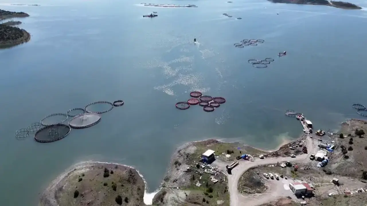 Karadeniz’e rakip çıktı: Bozkırın ortasında yetiştirip Avrupa'ya satıyorlar!