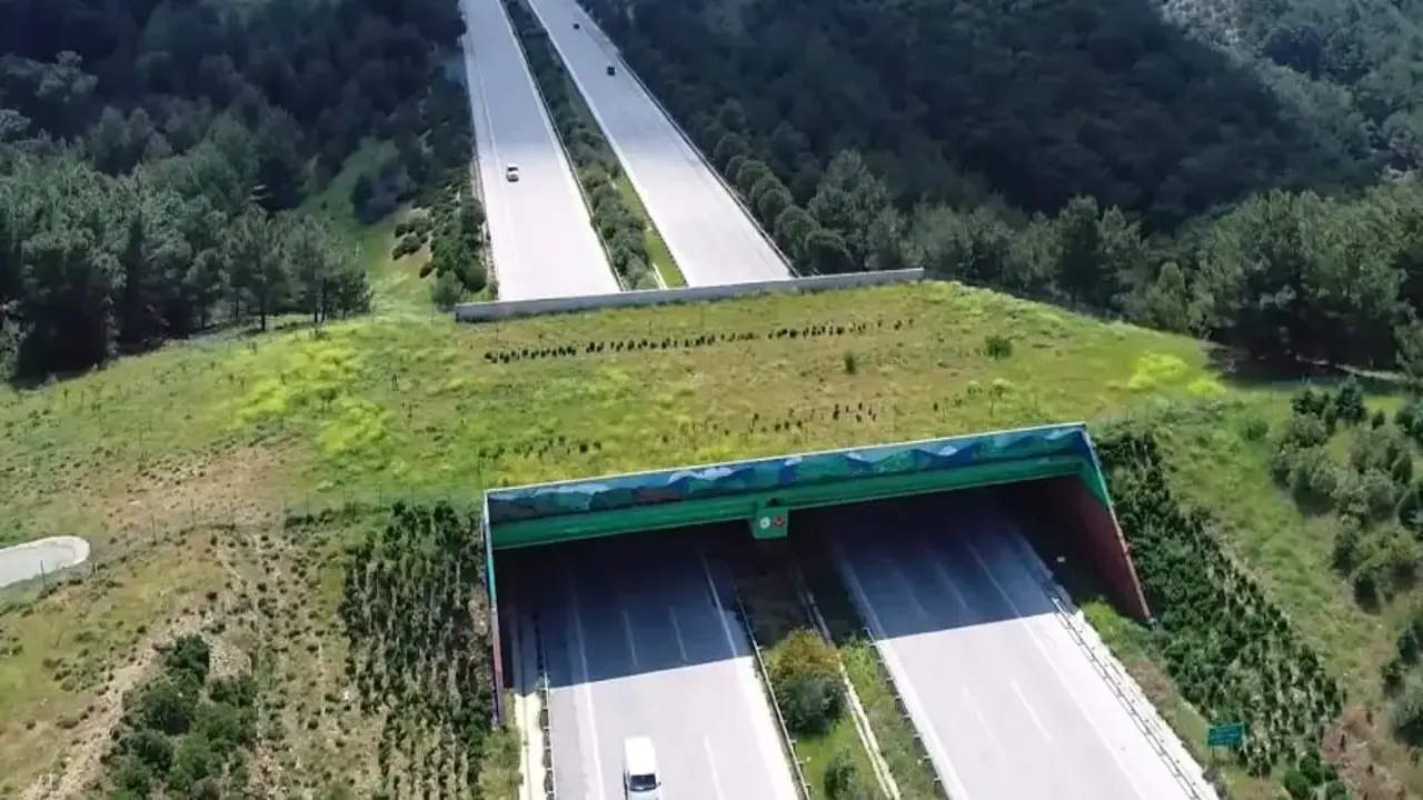 Karayolu ve demiryolunda 21 ekolojik köprü tamamlandı