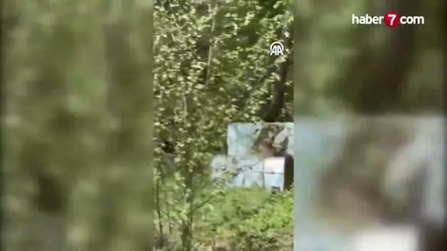 Kastamonu'da çeşmenin oluğunda serinleyen ayı kamerada