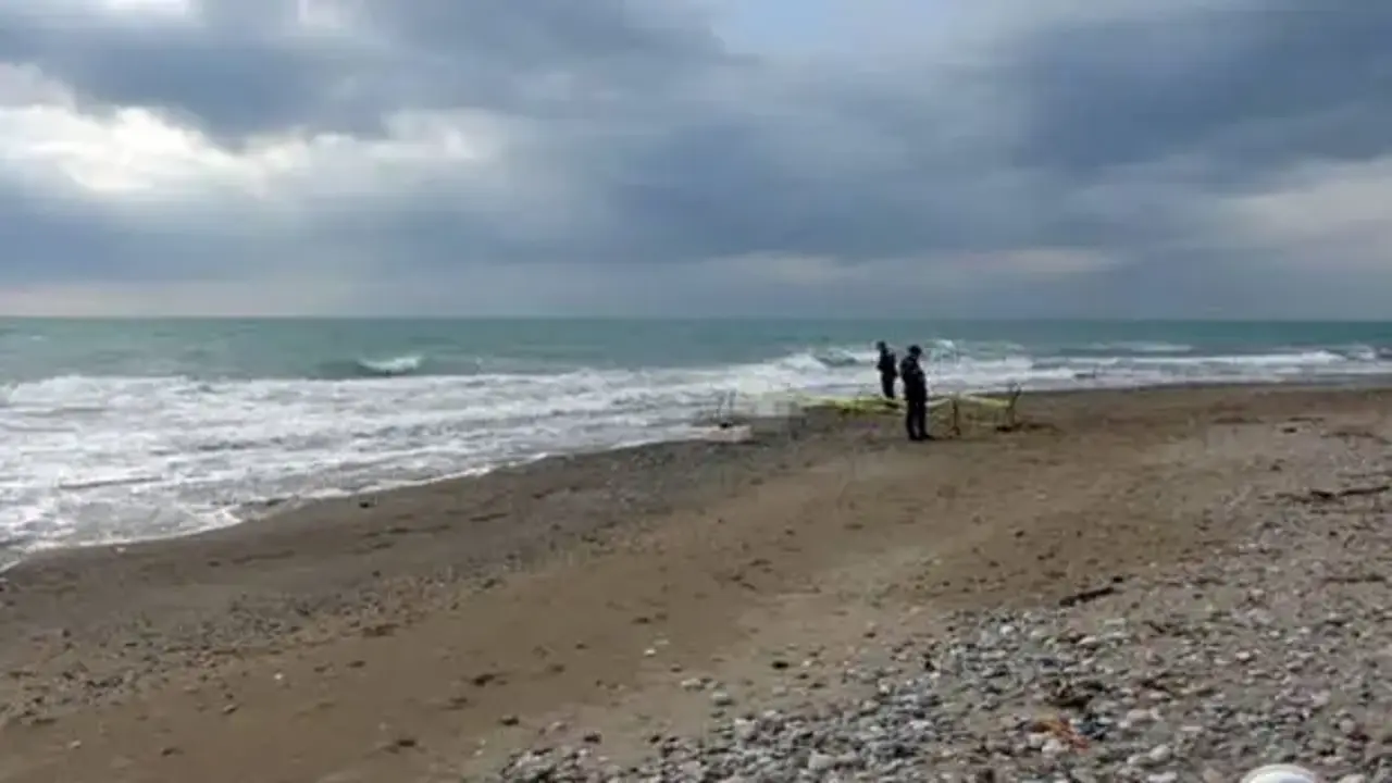 Kastamonu'da korkutan görüntü: Sahil kenarında bulundu