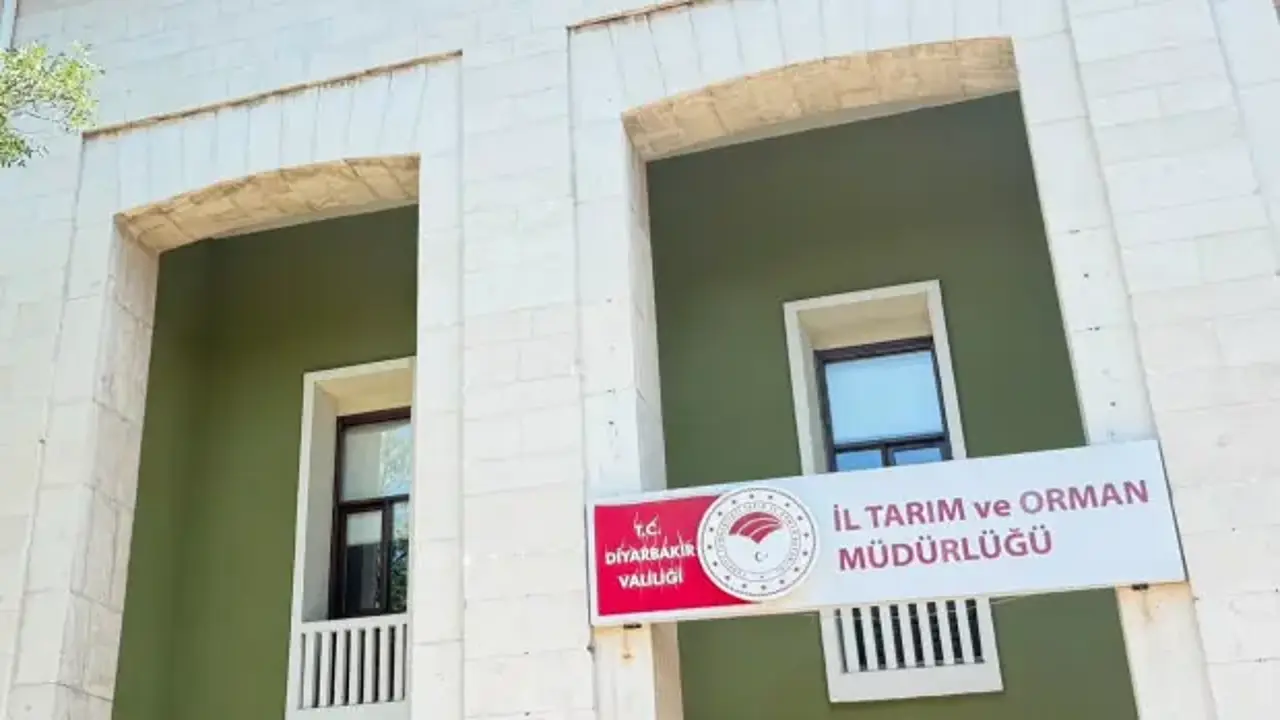 Kedinin ısırdığı 4 yaşındaki çocuk entübe edildi! Kuduz testi pozitif çıktı