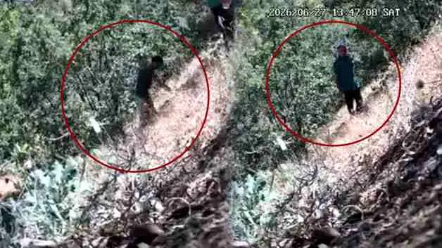 Kenevir eken CHP'li başkan ve oğulu foto kapana yakalandı
