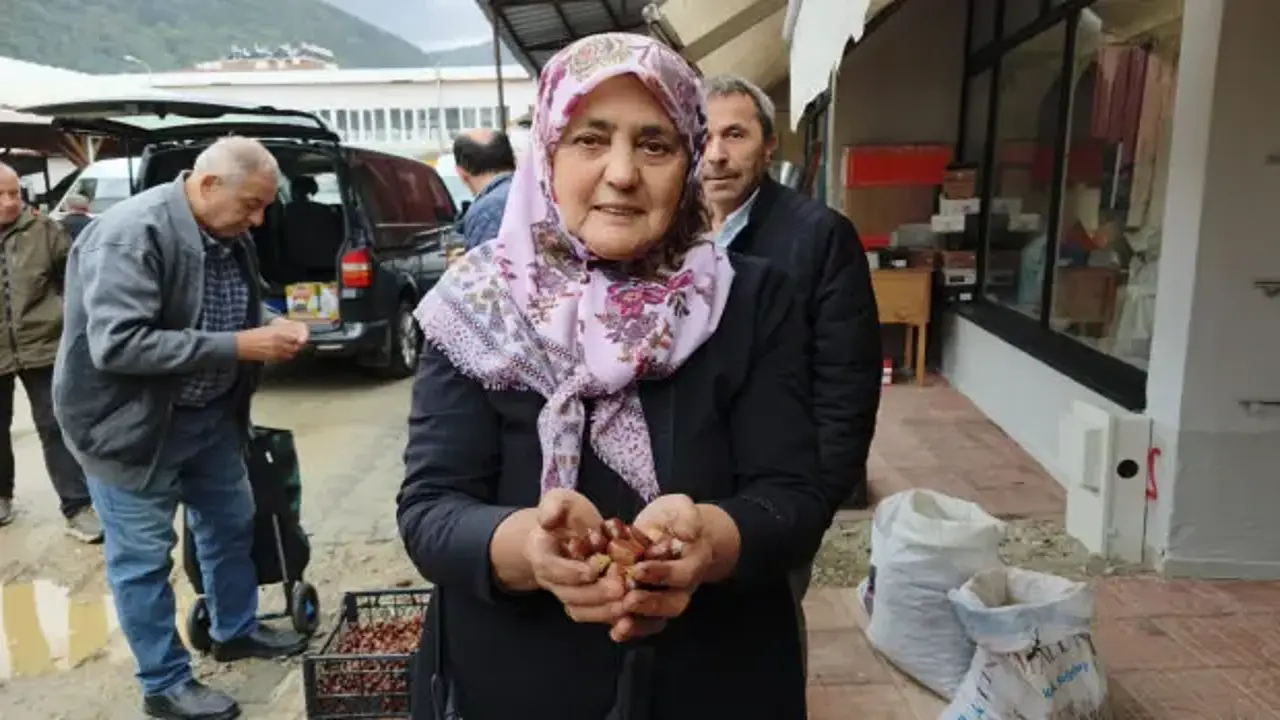 Kestane tezgahlara çıktı, fiyatı belli oldu! Kilosu 600 liradan satılıyor