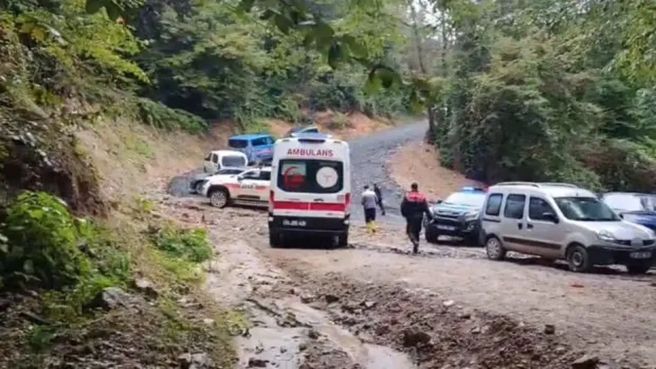 Kestane toplamak için gitmişti: Acı haber geldi