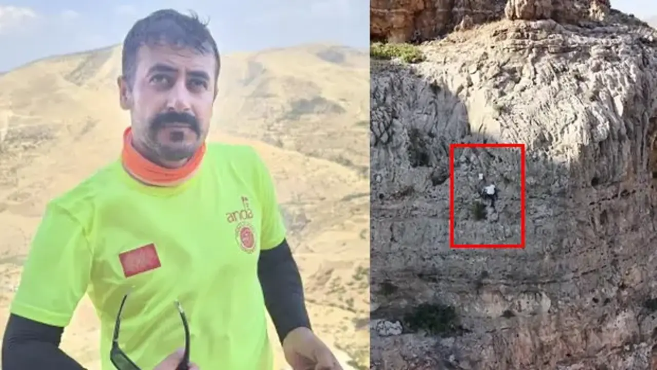 Kilosu 15 bin TL: Uçurumda tehlikeli hasat