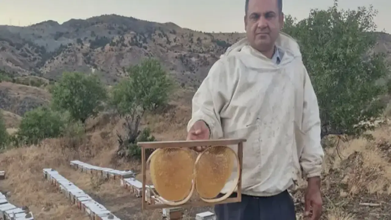 Kilosu 2 bin 200 lira! Bal fiyatları belli oldu