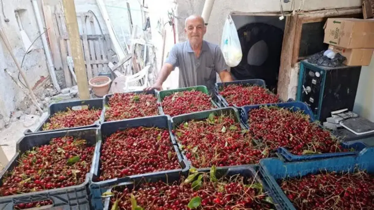 Kilosu 40 TL, işçi yevmiyesini bile karşılamıyor!