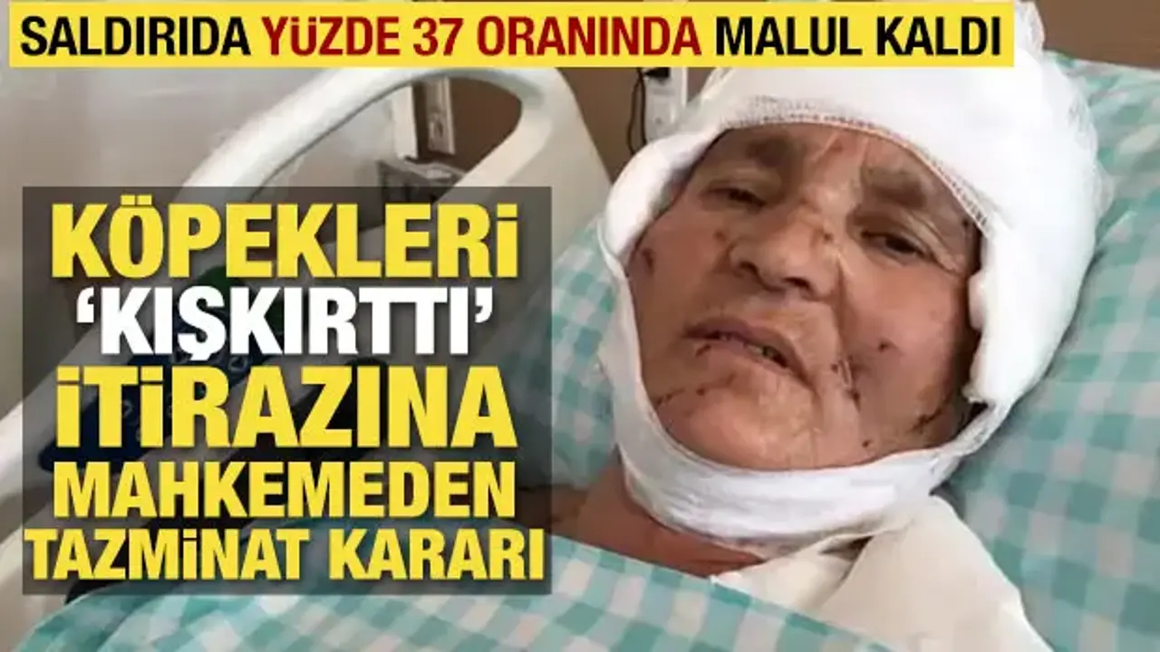 Kırşehir'de köpek saldırısına uğrayan 63 yaşındaki kadına tazminat ödenecek