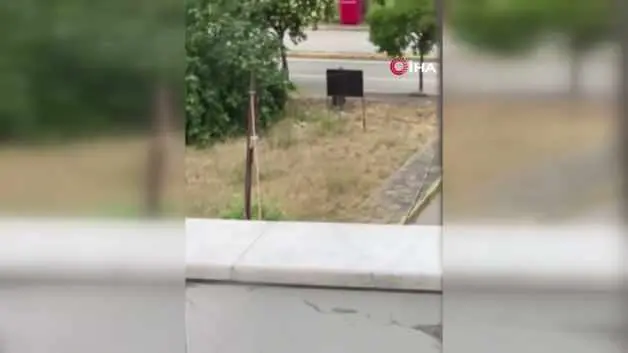Kocaeli'de yeğen dehşeti: Tartıştığı amcasını palayla öldürdü!
