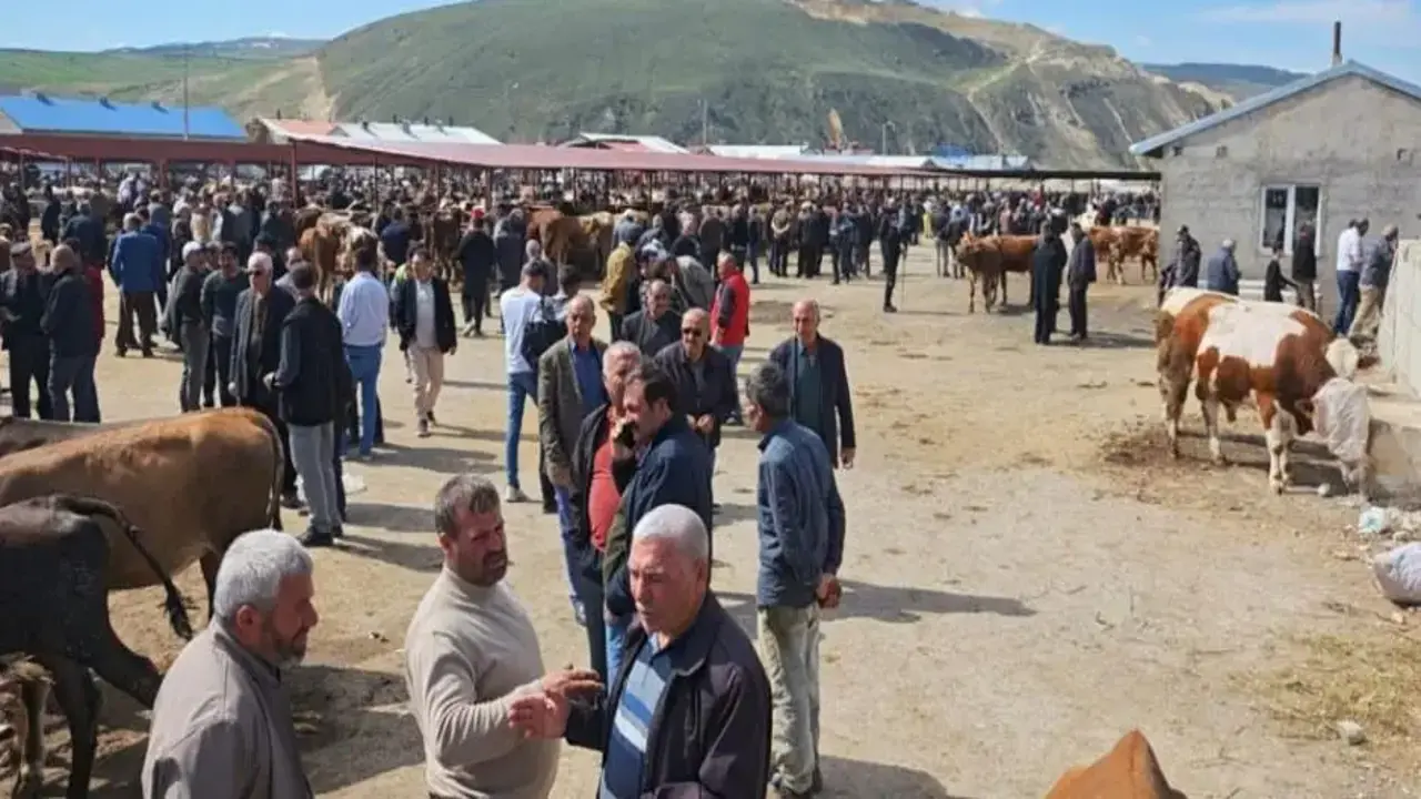 Kurban pazarlarında hareketlilik başladı
