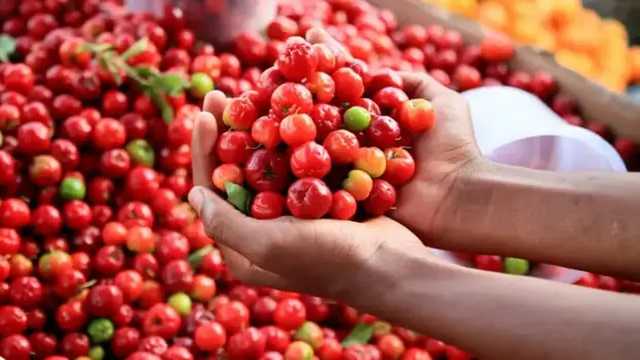 Limonu ezdi geçti, 60 kat daha vitaminli! Ona 'yeşil altın' deniyor