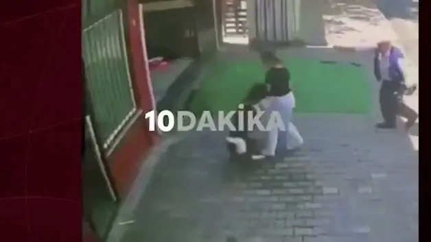 Masum yavrularımız köpeklere yem oluyor! İstanbul'da dehşete düşüren anlar