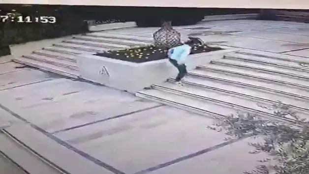 Önce köpeğe sonra güvenliğe saldırdı: Mahkeme affetmedi!