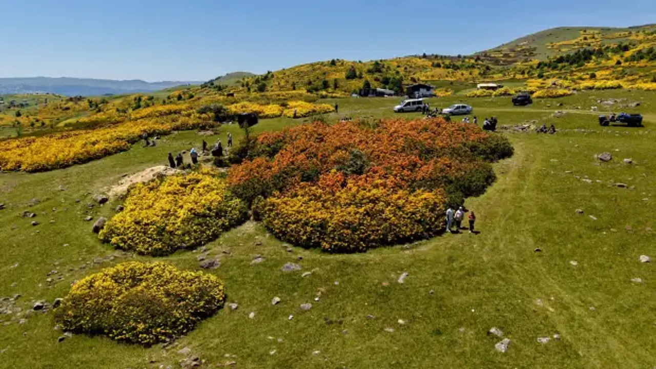 Ordu'nun yürek sızlatan efsanesi ile ünlü Kırkkızlar Obası, renkleriyle mest etti