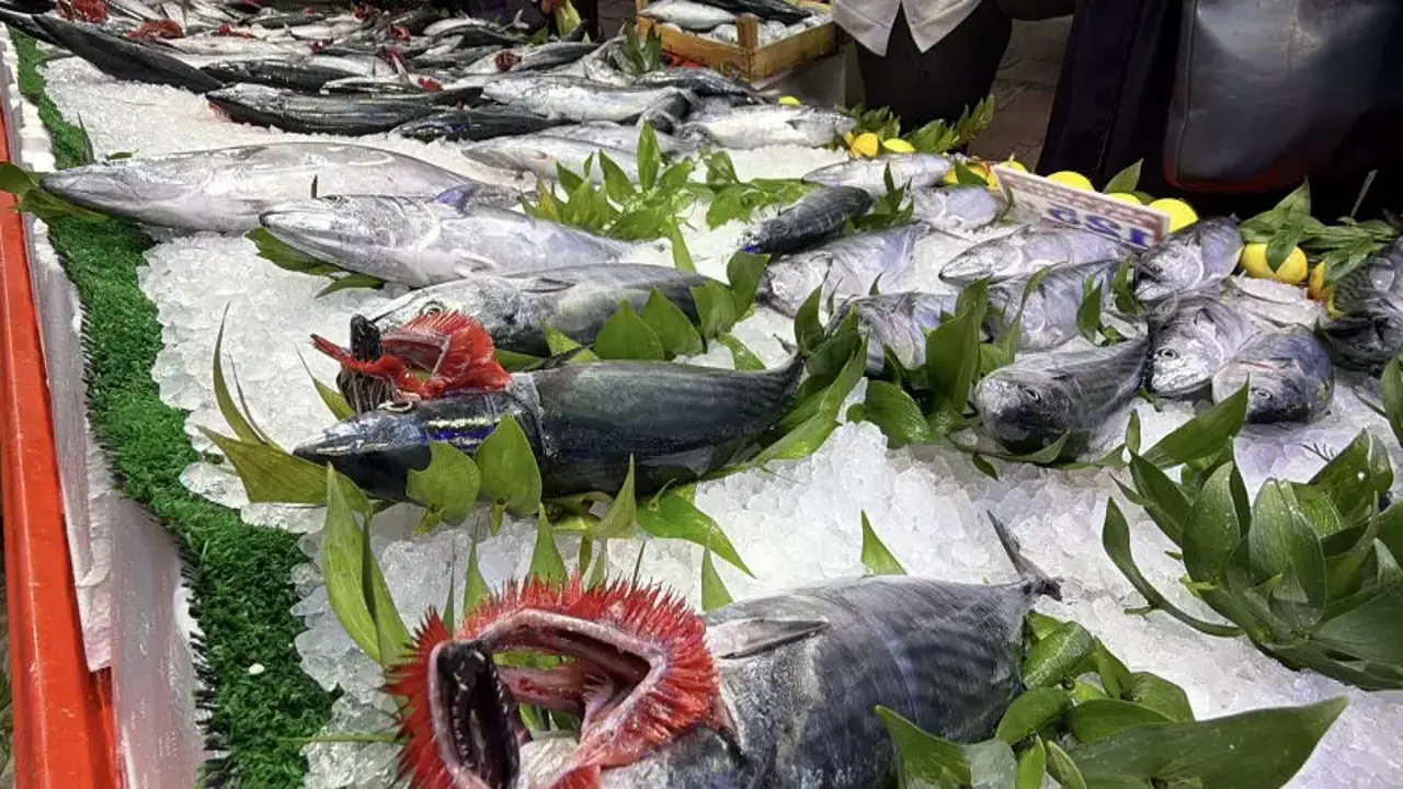 Palamut sezonu yüzleri güldürdü! Fiyatı 125 TL’ye kadar geriledi: Ne kadar sürecek?