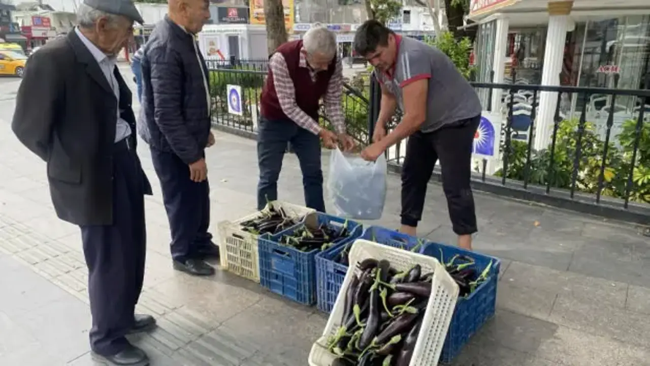 Patlıcanlar maliyetini kurtarmayınca halka ücretsiz dağıttı