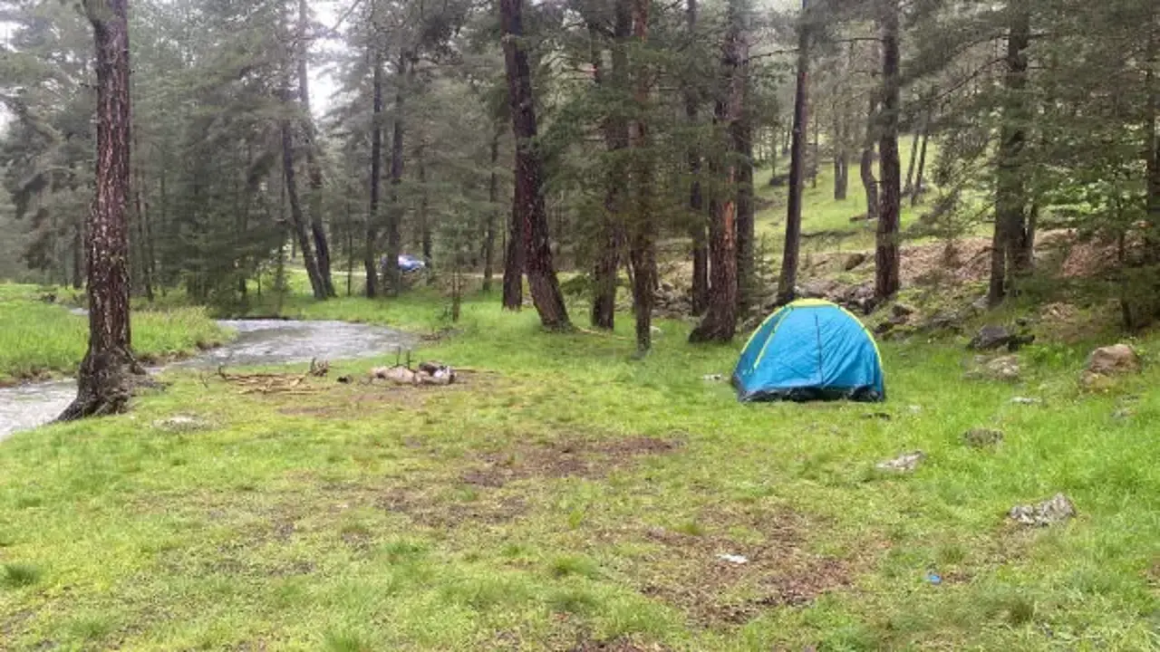 Piknik yaptıkları alana yıldırım düştü: 1'i ağır 3 yaralı