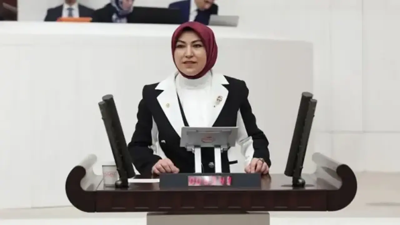 Rukiye Toy, TBMM’de DİLİM Projesini anlattı