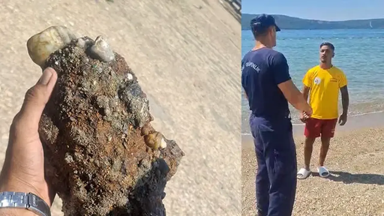 Sahilde patlamamış askeri mühimmat bulundu!