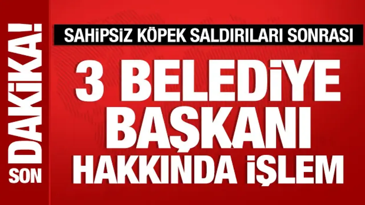 Sahipsiz köpek saldırıları sonrası 3 belediye başkanı hakkında işlem