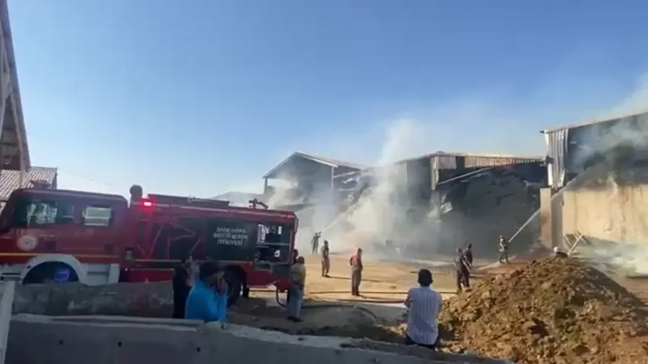 Şanlıurfa'da hayvan çiftliğinde yangın