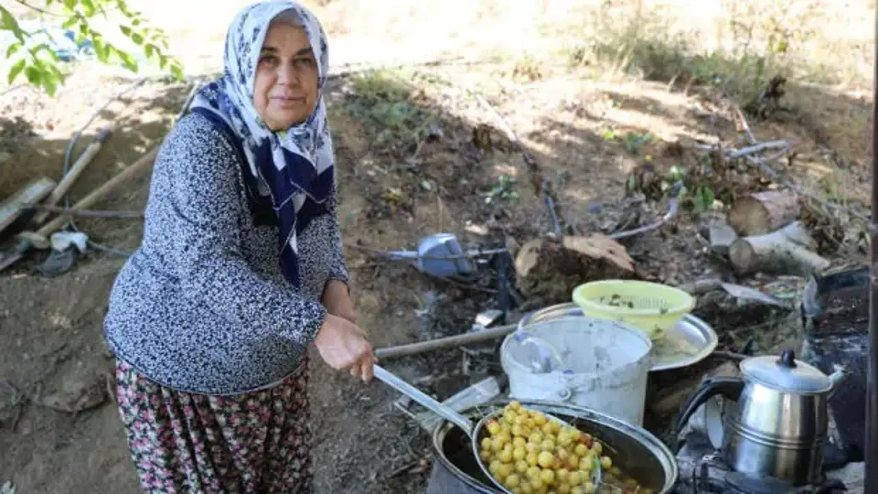 Satılamayan kirazlar kurutularak kışlık çerez oluyor!