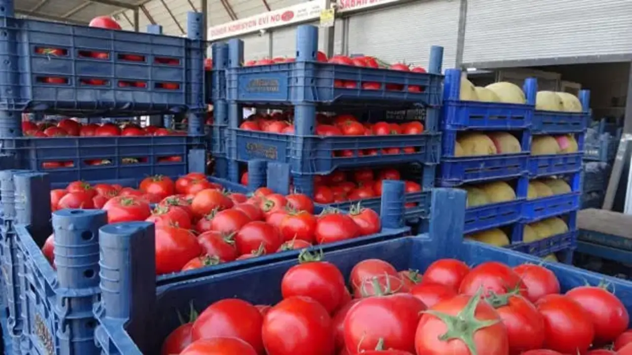 Sebze halindeki domatesin fiyatı 15 TL'ye düştü
