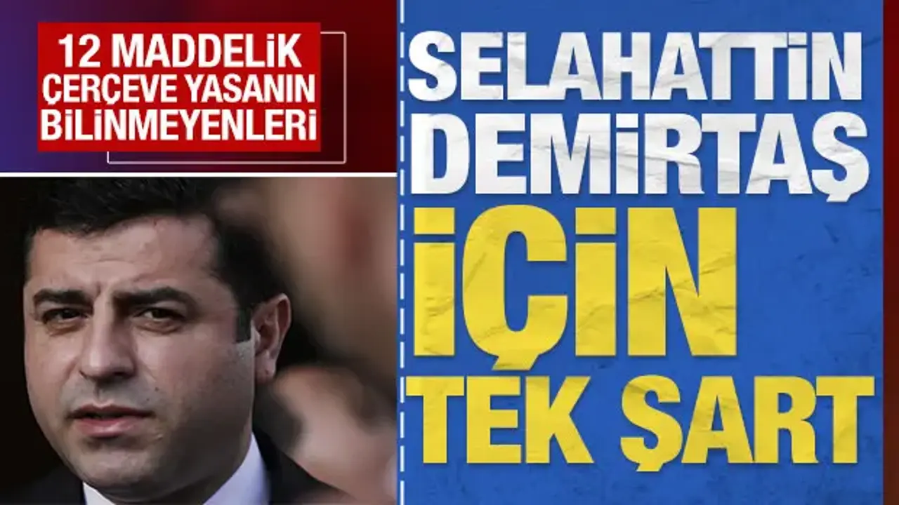 Selahattin Demirtaş için 'tek' şart: 12 maddelik çerçeve yasanın bilinmeyenleri
