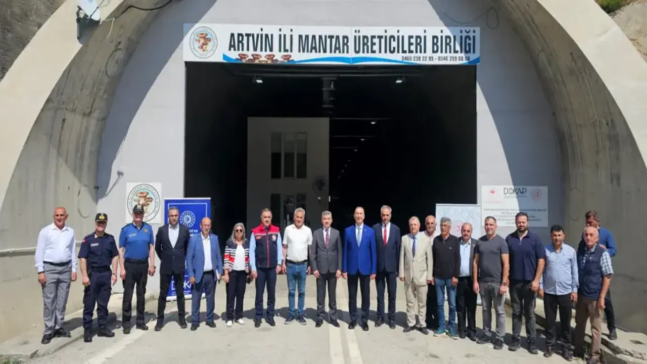 Serada değil tünelde yetiştiriliyor! İlk hasat yapıldı: Hedef 360 ton