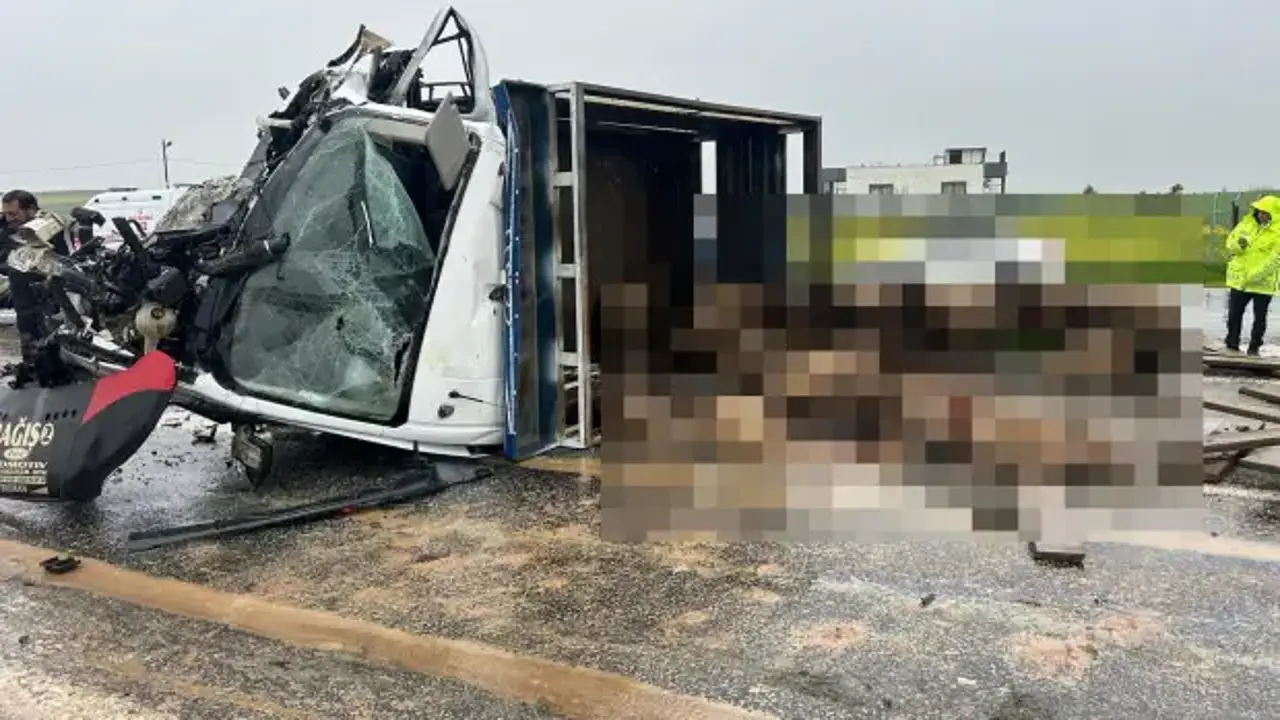 Siirt'te koyun yüklü kamyonet ile otomobil çarpıştı: 2 ölü, 3 yaralı