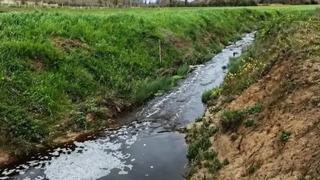 Sinop’ta çevreyi kirleten tesise 1.6 milyon TL ceza